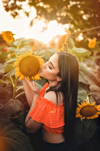 Woman Kissing Sunflower