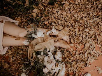 Woman Legs Beside Flowers