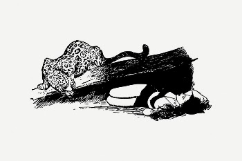 Woman & leopard clipart, vintage | Free PSD Illustration - rawpixel