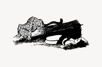 Woman & leopard collage element, | Free Vector Illustration - rawpixel