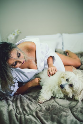 Woman Lying Beside Long-coated White Dog