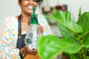 Woman misting plants with a water spray at a… | Free stock photo | High Resolution image