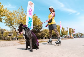 Woman Near Dog