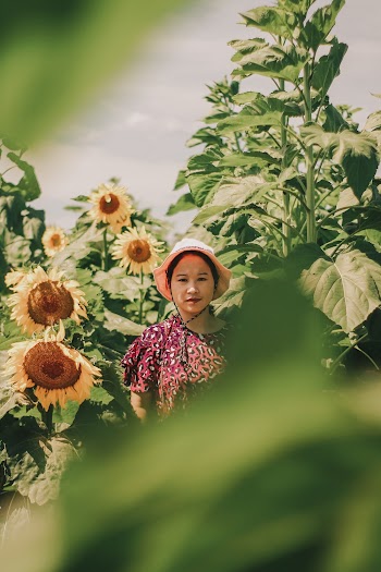Woman Near Sunflowers