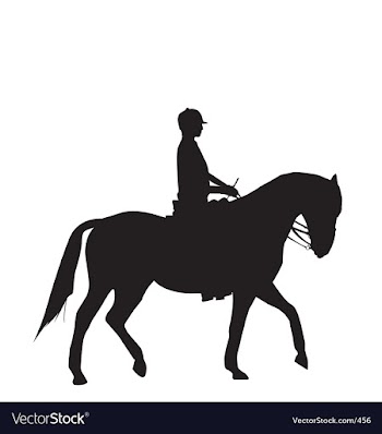 Woman on horse vector image