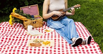 Woman On Picnic Blanket With Ukulele