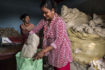 Woman packing wool in bag, | Free Photo - rawpixel