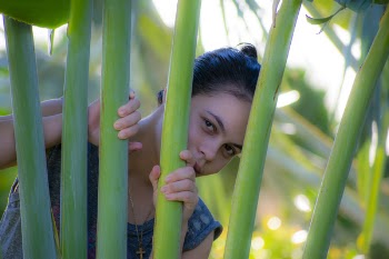 Woman Peeking Through Green Palm Plant