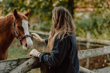 woman petting brown and white horse