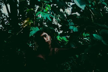 Woman Posing Under Green Leafed Trees