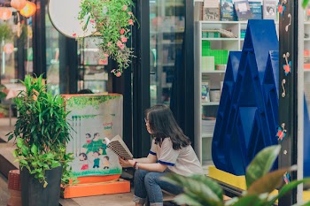 Woman Reading Book