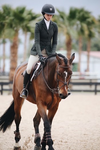 Woman Rides Brown Horse