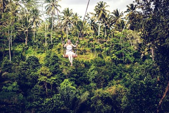 Woman Riding Hanging Swing on Trees