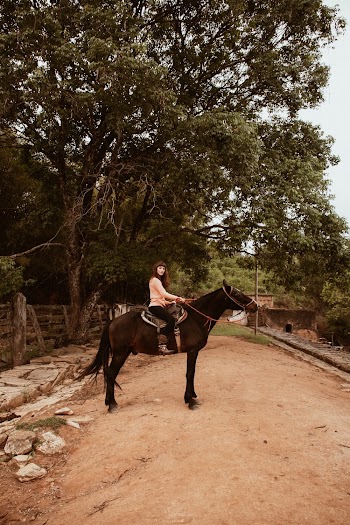 Woman Riding Horse Near Tree