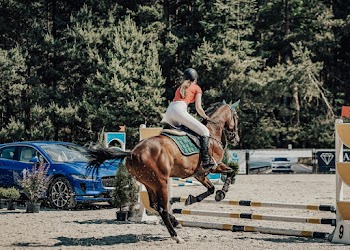Woman Riding on a Horse