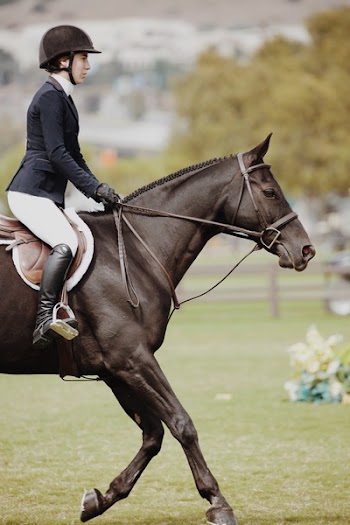 Woman Riding on Black Horse Focus Photography