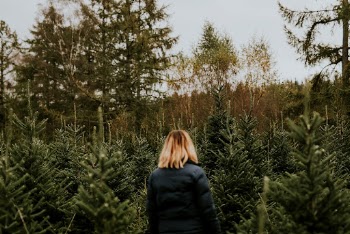 Woman's back at a Christmas | Free Photo - rawpixel