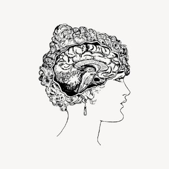 Woman's brain drawing, medical vintage | Free Vector - rawpixel