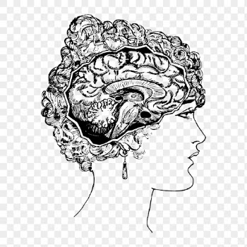 Woman's brain png portrait, medical | Free PNG - rawpixel