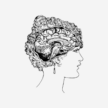 Woman's brain portrait drawing, medical | Free Photo - rawpixel