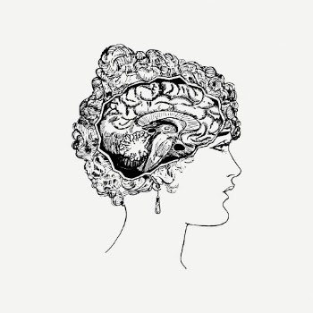 Woman's brain portrait drawing, medical | Free PSD - rawpixel