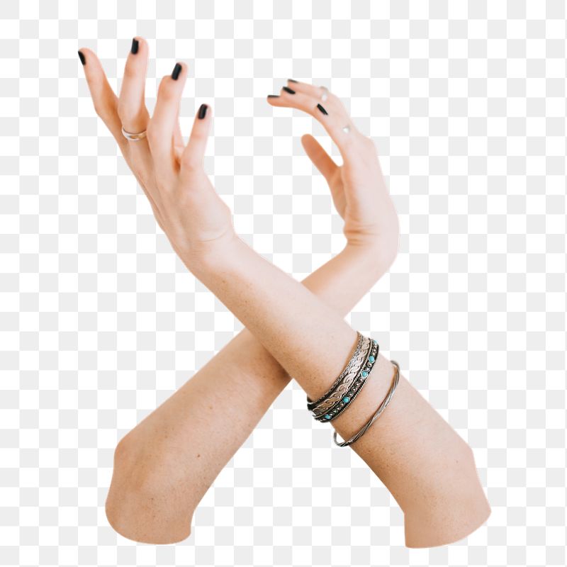 Woman's hands png sticker, transparent | Free PNG - rawpixel