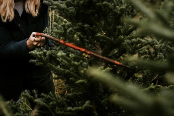 Woman sawing a Christmas tree | Free Photo - rawpixel