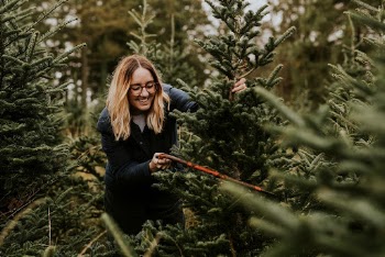 Woman sawing a Christmas tree | Free Photo - rawpixel