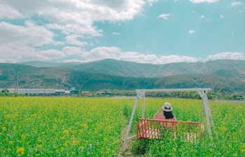 Woman Sits on Brown Wooden Swing Bench on Yellow Petaled Flower Field