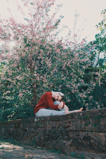 Woman Sits on Stone Fence by a Tree