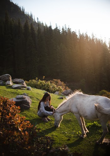 Woman Sitting Beside White Horse