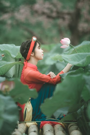Woman Sitting Between Lily Plants