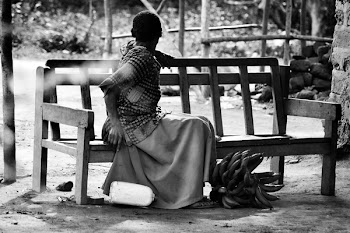 Woman Sitting on Bench