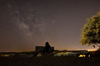 woman sitting on bench along ree