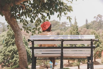 Woman Sitting On Bench Beside Tree