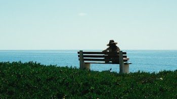 Woman Sitting on Bench on Grass Shore during Day