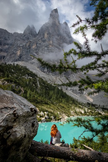 Woman Sitting on Branch of Tree in Front of Lake