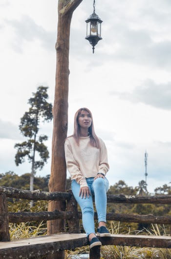 Woman Sitting On Brown Wooden Rail
