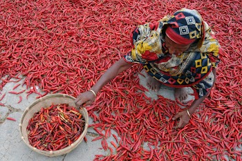 Woman Sitting on Floor of Red Chili