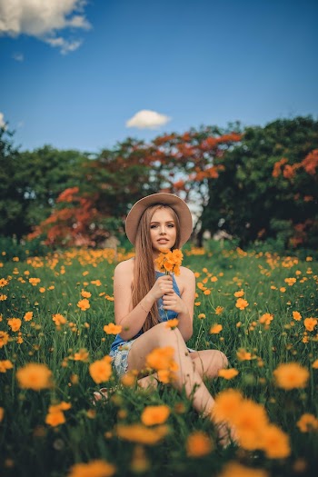 Woman Sitting on Flower Field
