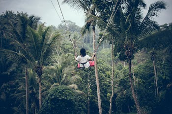 Woman Sitting on Swing