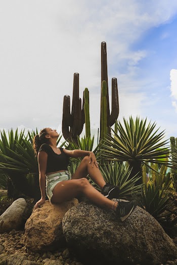 Woman Sitting on Top of Rock Next to Succulent Plants