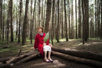 Woman Sitting on Wood Log