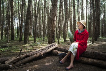 Woman Sitting on Wood Log