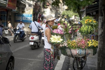 Woman Standing and Looking on Petaled Flowers on Street