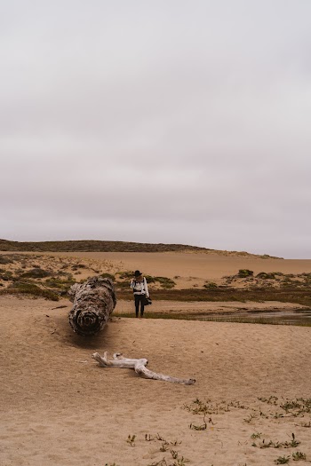 Woman Standing Beside A Fallen Tree Trunk On Sandy Ground
