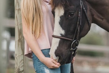 woman standing beside black and white horse at daytime