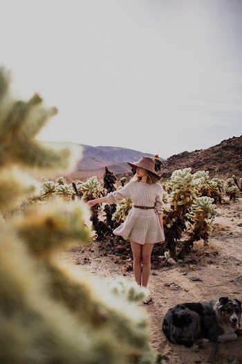 Woman Standing Beside Green Plants