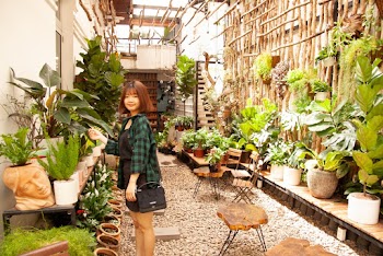 Woman Standing Beside Plants