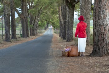 Woman Standing Beside Tall Tree Near Road